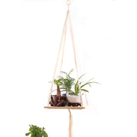 Macrame Plant Hanger - Bean Concept - Etsy