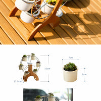 Set of Ferris Wheel Flower Plant Pots - Bean Concept - Etsy
