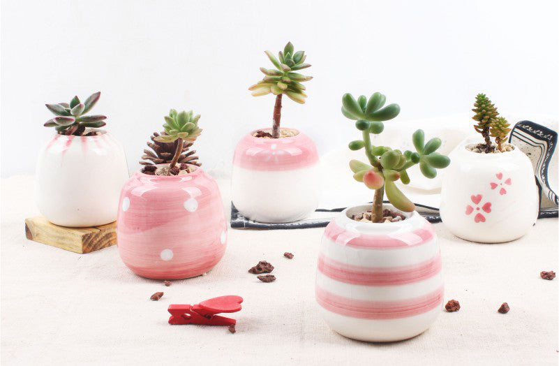 Set of 6 Mini Ceramic Succulent Plant Pots - Bean Concept - Etsy