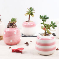 Set of 6 Mini Ceramic Succulent Plant Pots - Bean Concept - Etsy