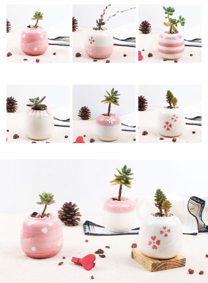 Set of 6 Mini Ceramic Succulent Plant Pots - Bean Concept - Etsy