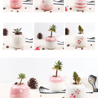 Set of 6 Mini Ceramic Succulent Plant Pots - Bean Concept - Etsy