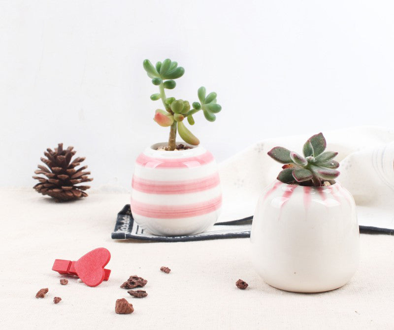 Set of 6 Mini Ceramic Succulent Plant Pots - Bean Concept - Etsy