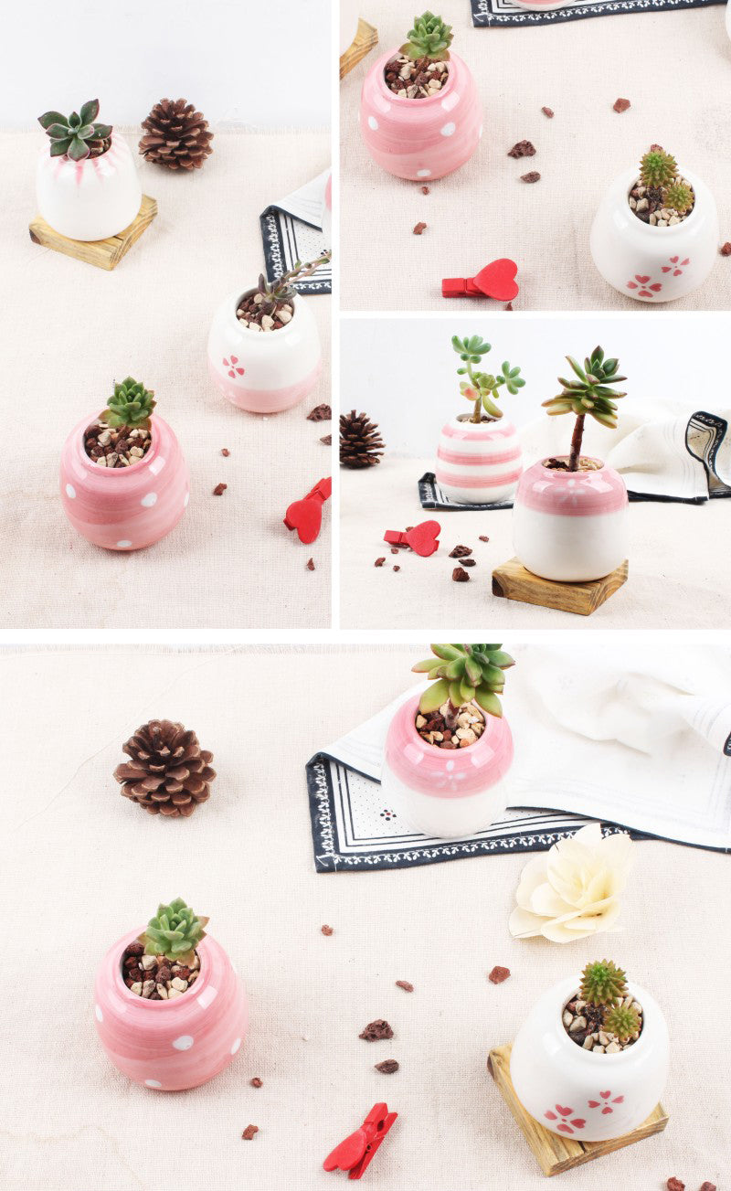 Set of 6 Mini Ceramic Succulent Plant Pots - Bean Concept - Etsy