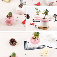 Set of 6 Mini Ceramic Succulent Plant Pots - Bean Concept - Etsy