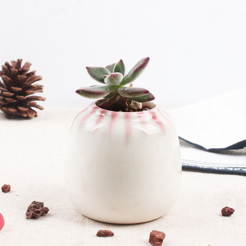 Set of 6 Mini Ceramic Succulent Plant Pots - Bean Concept - Etsy