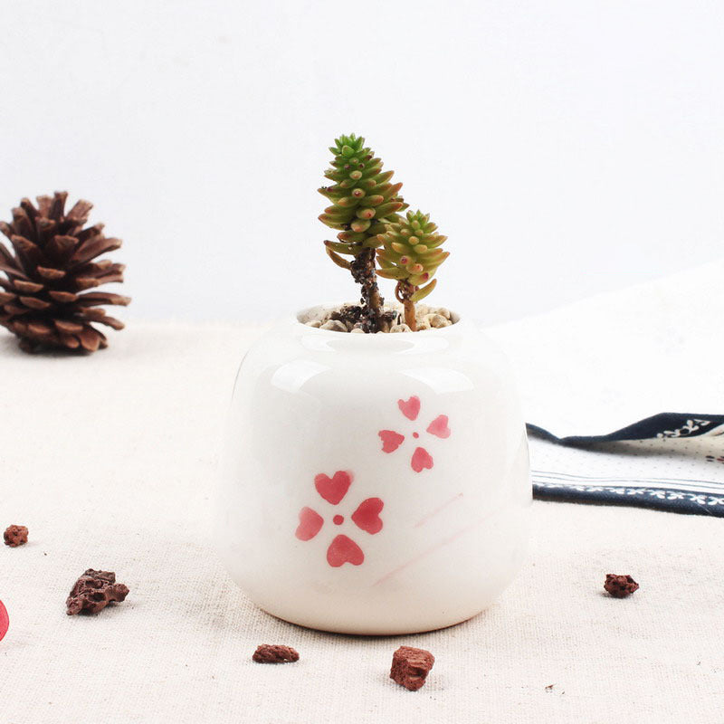 Set of 6 Mini Ceramic Succulent Plant Pots - Bean Concept - Etsy