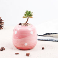 Set of 6 Mini Ceramic Succulent Plant Pots - Bean Concept - Etsy
