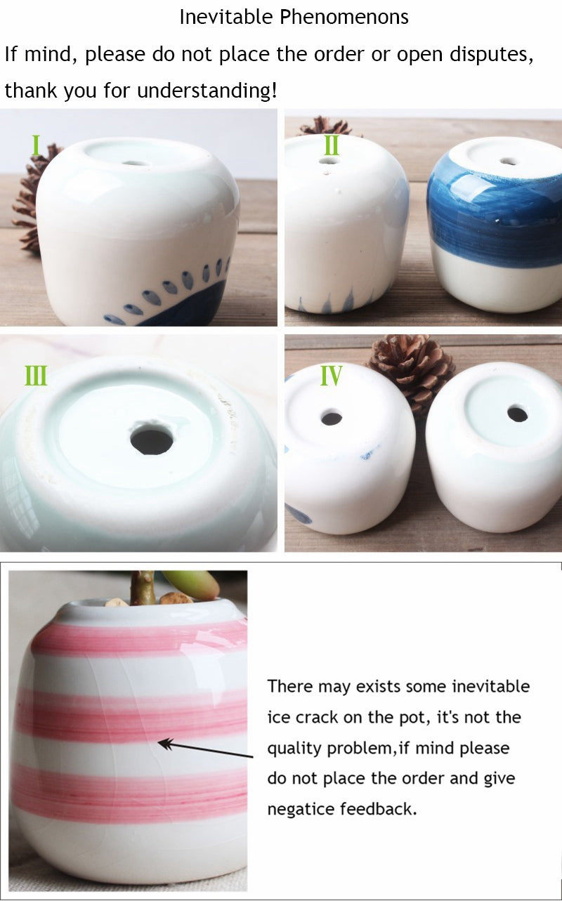 Set of 6 Mini Ceramic Succulent Plant Pots - Bean Concept - Etsy