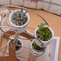 Set of Ferris Wheel Flower Plant Pots - Bean Concept - Etsy