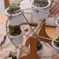 Set of Ferris Wheel Flower Plant Pots - Bean Concept - Etsy