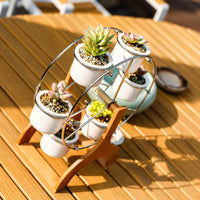 Set of Ferris Wheel Flower Plant Pots - Bean Concept - Etsy