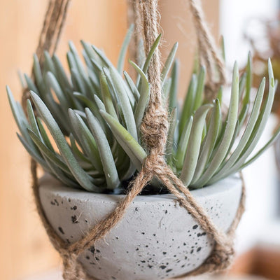 40 Inch Flowerpot Plant Hanger - Bean Concept - Etsy