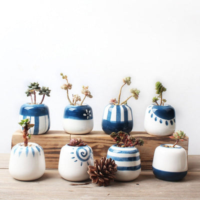 Set of 8 Mini Ceramic Succulent Plant Pots - Bean Concept - Etsy