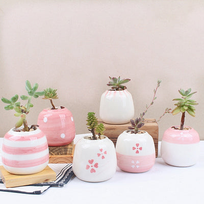 Set of 6 Mini Ceramic Succulent Plant Pots - Bean Concept - Etsy