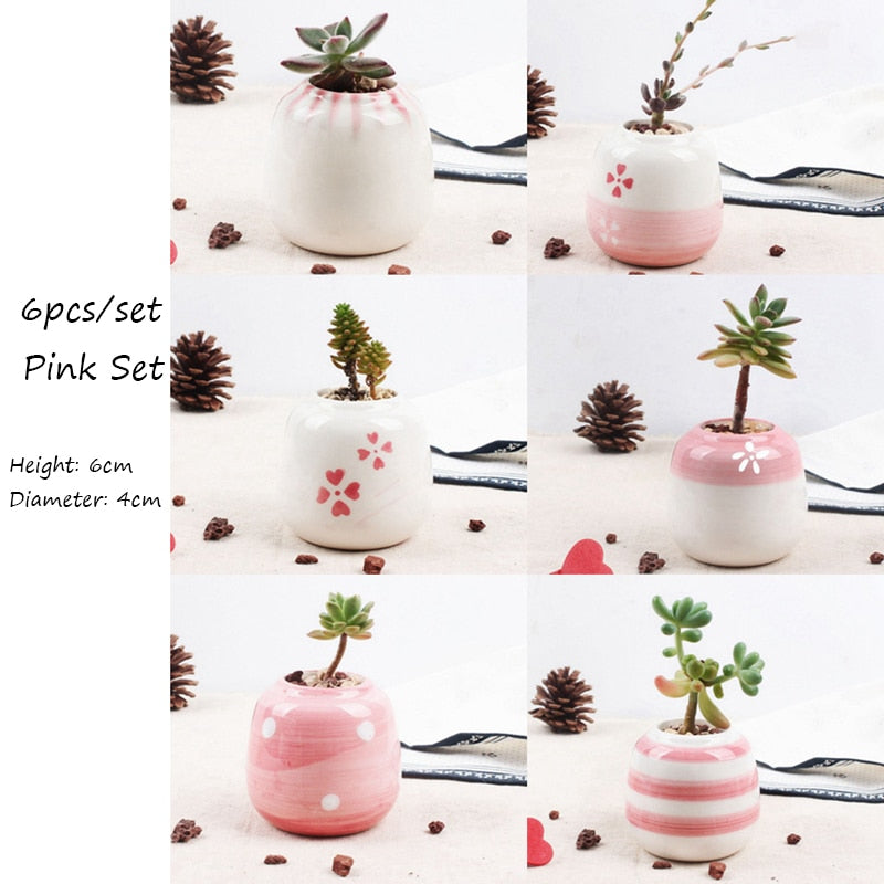 Set of 6 Mini Ceramic Succulent Plant Pots - Bean Concept - Etsy
