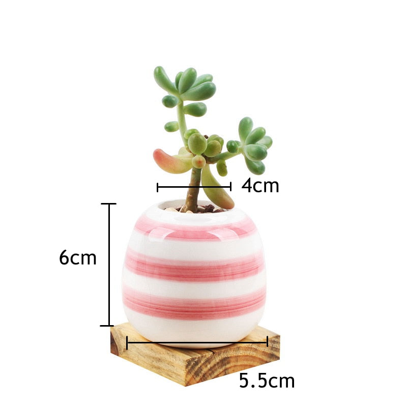 Set of 6 Mini Ceramic Succulent Plant Pots - Bean Concept - Etsy