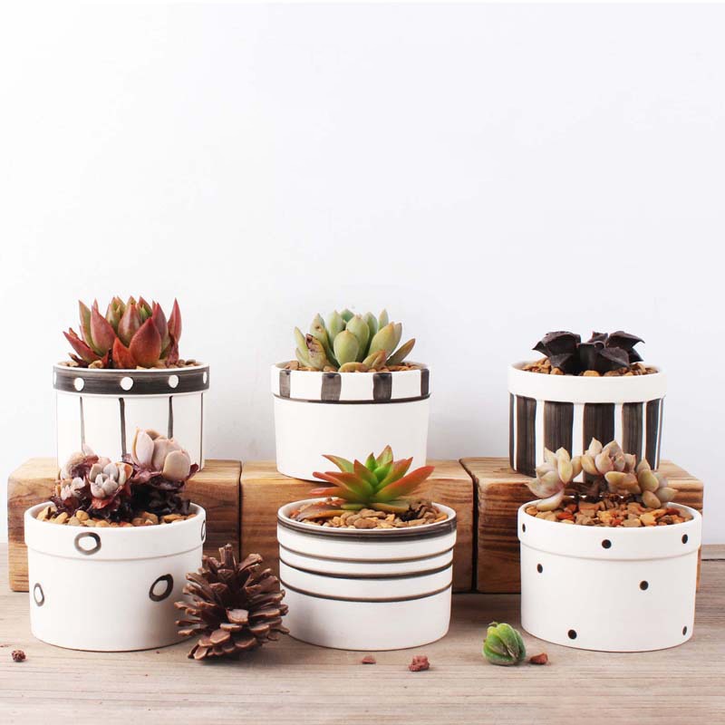 Set of 6 Black Succulent Plant Pots - Bean Concept - Etsy