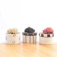 Set of 6 Black Succulent Plant Pots - Bean Concept - Etsy