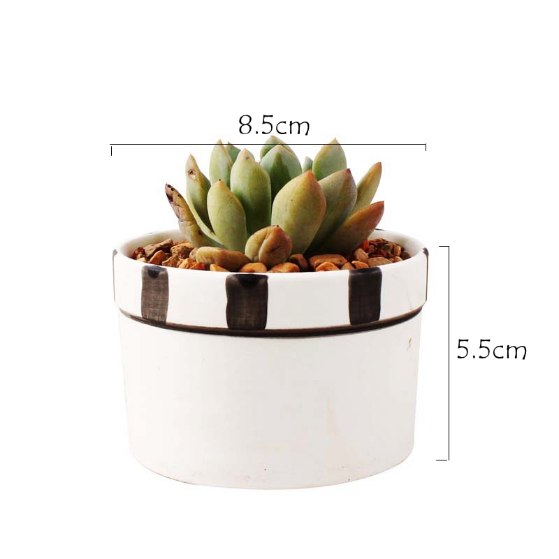 Set of 6 Black Succulent Plant Pots - Bean Concept - Etsy