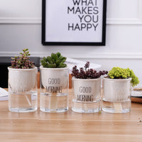 Automatic Watering Plant Pot - Bean Concept - Etsy