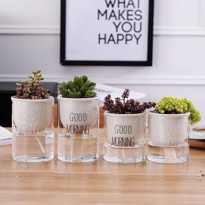Automatic Watering Plant Pot - Bean Concept - Etsy