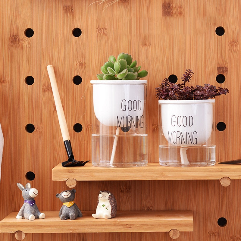Automatic Watering Plant Pot - Bean Concept - Etsy