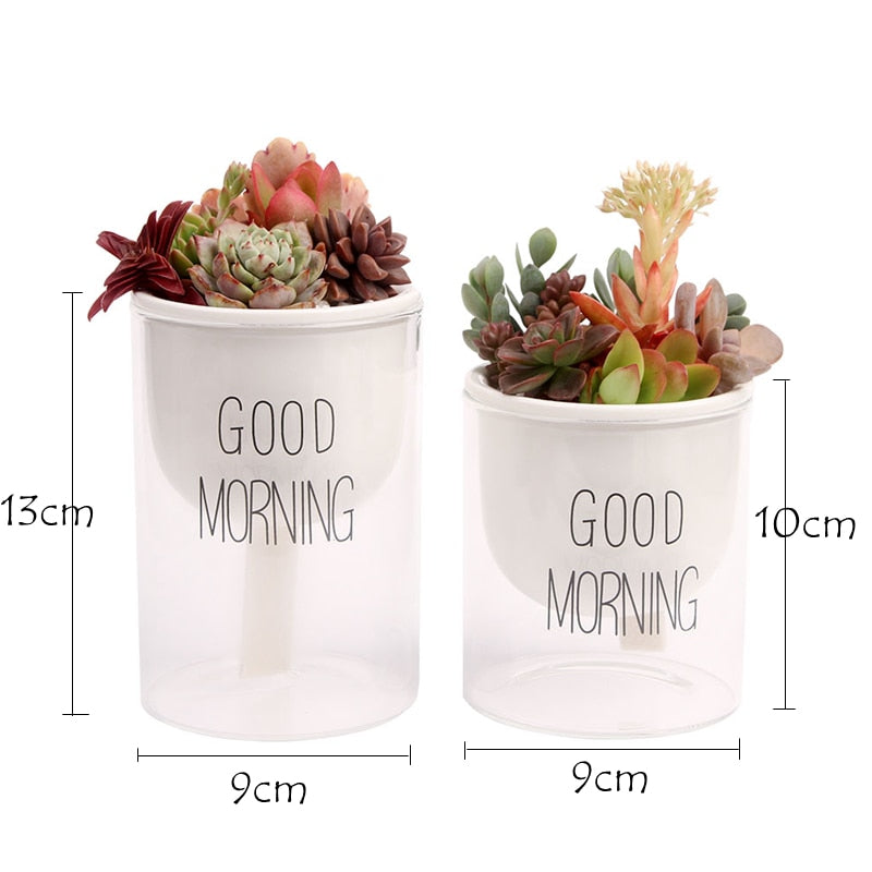 Automatic Watering Plant Pot - Bean Concept - Etsy