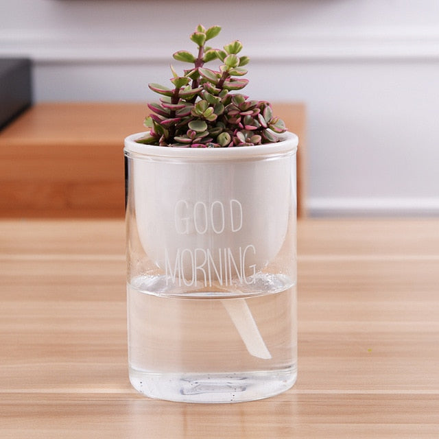 Automatic Watering Plant Pot - Bean Concept - Etsy