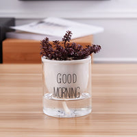 Automatic Watering Plant Pot - Bean Concept - Etsy