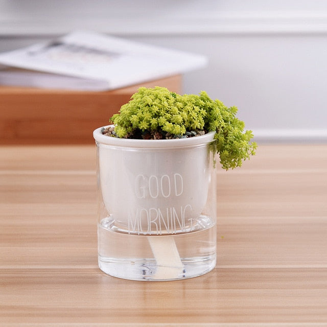 Automatic Watering Plant Pot - Bean Concept - Etsy