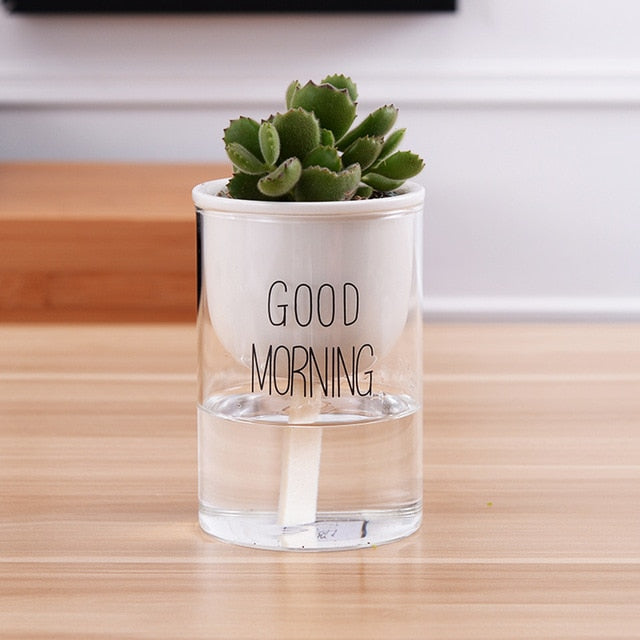 Automatic Watering Plant Pot - Bean Concept - Etsy