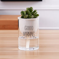 Automatic Watering Plant Pot - Bean Concept - Etsy