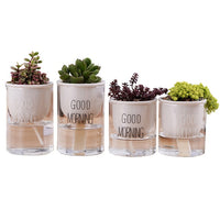 Automatic Watering Plant Pot - Bean Concept - Etsy