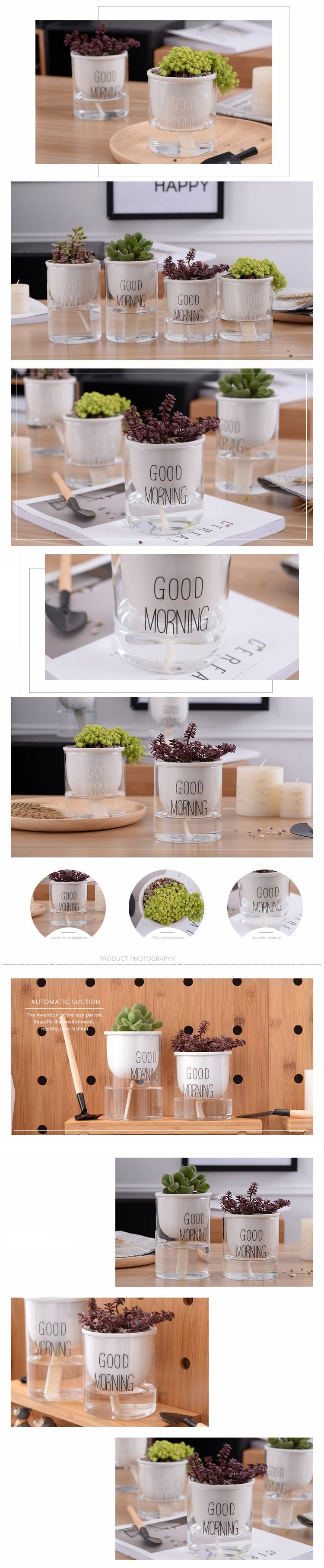Automatic Watering Plant Pot - Bean Concept - Etsy