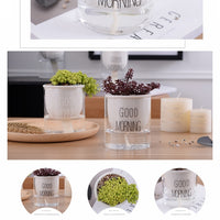 Automatic Watering Plant Pot - Bean Concept - Etsy