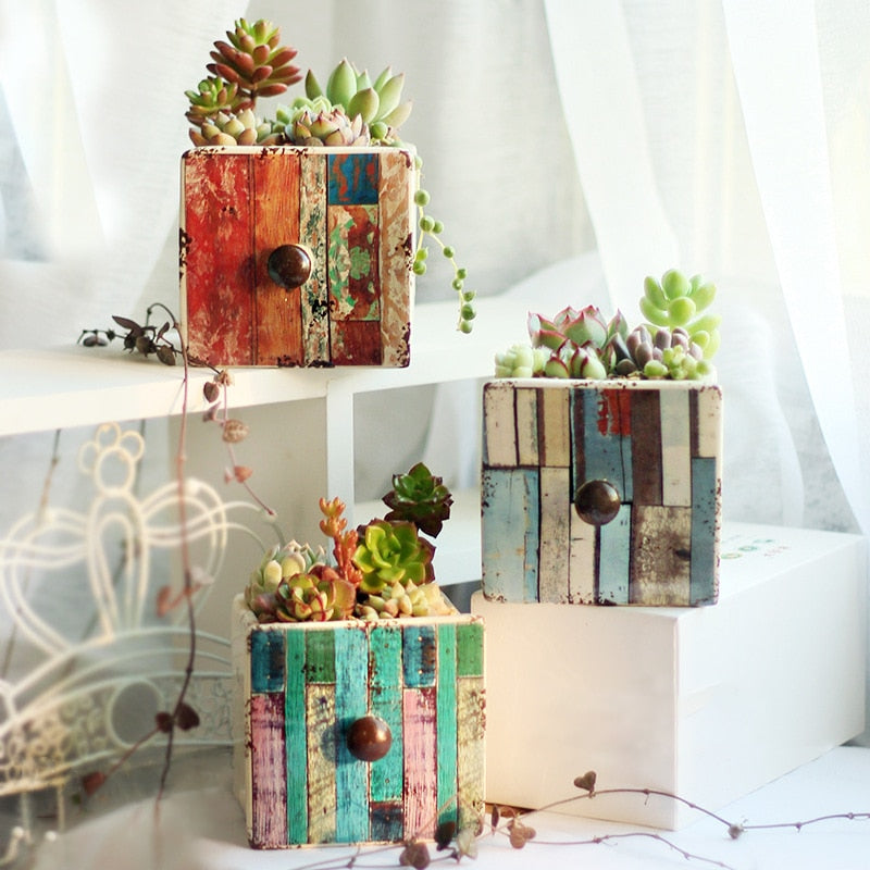Set of 3 European Succulent Plant Pots - Bean Concept - Etsy