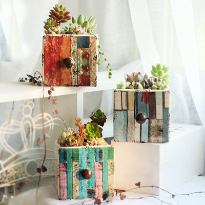 Set of 3 European Succulent Plant Pots - Bean Concept - Etsy