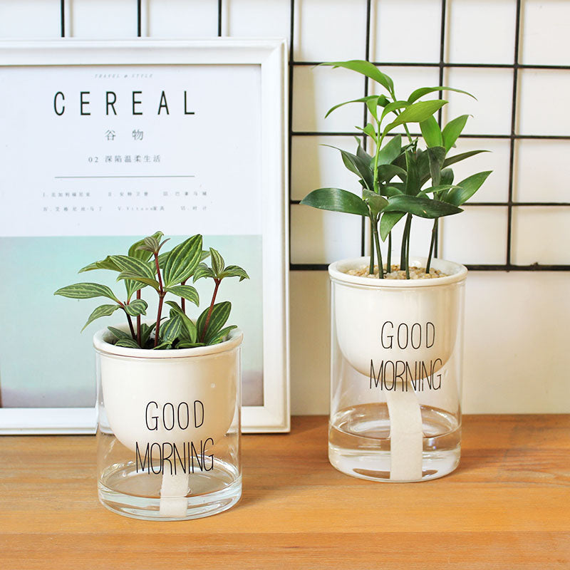 Automatic Watering Plant Pot - Bean Concept - Etsy