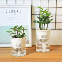 Automatic Watering Plant Pot - Bean Concept - Etsy