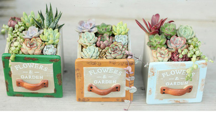 Set of 3 Vintage Succulent Plant Pots - Bean Concept - Etsy