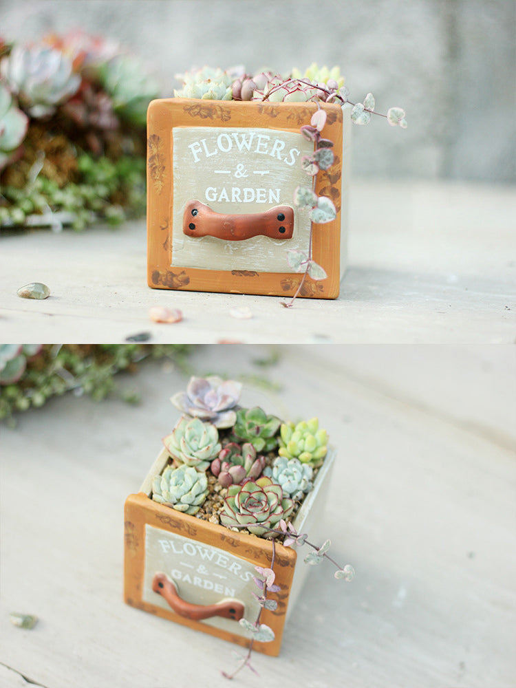 Set of 3 Vintage Succulent Plant Pots - Bean Concept - Etsy