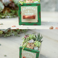 Set of 3 Vintage Succulent Plant Pots - Bean Concept - Etsy