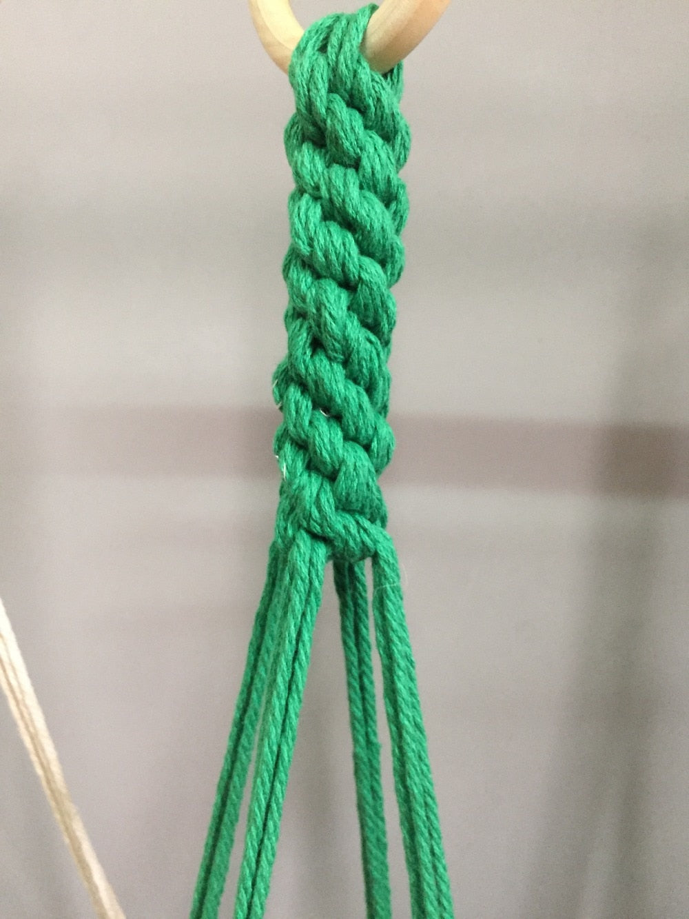 Indoor Plant Pot Hanger - Bean Concept - Etsy