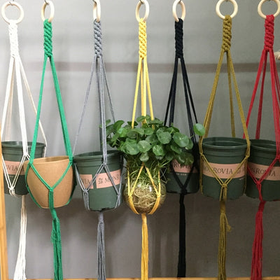 Macrame Hanging Pot Holder - Bean Concept - Etsy
