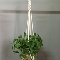 Macrame Hanging Pot Holder - Bean Concept - Etsy