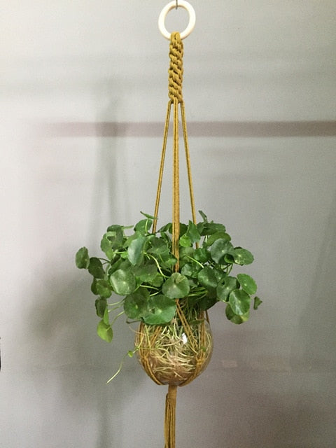 Indoor Plant Pot Hanger - Bean Concept - Etsy