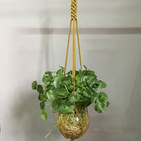 Indoor Plant Pot Hanger - Bean Concept - Etsy