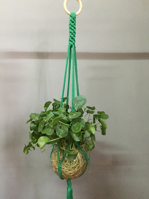 Indoor Plant Pot Hanger - Bean Concept - Etsy