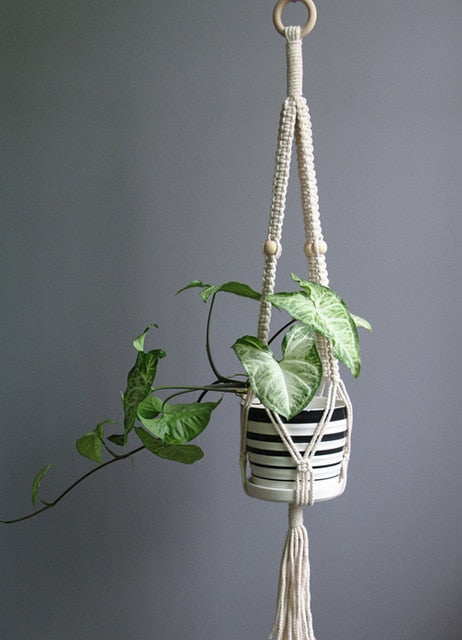 Indoor Plant Pot Hanger - Bean Concept - Etsy